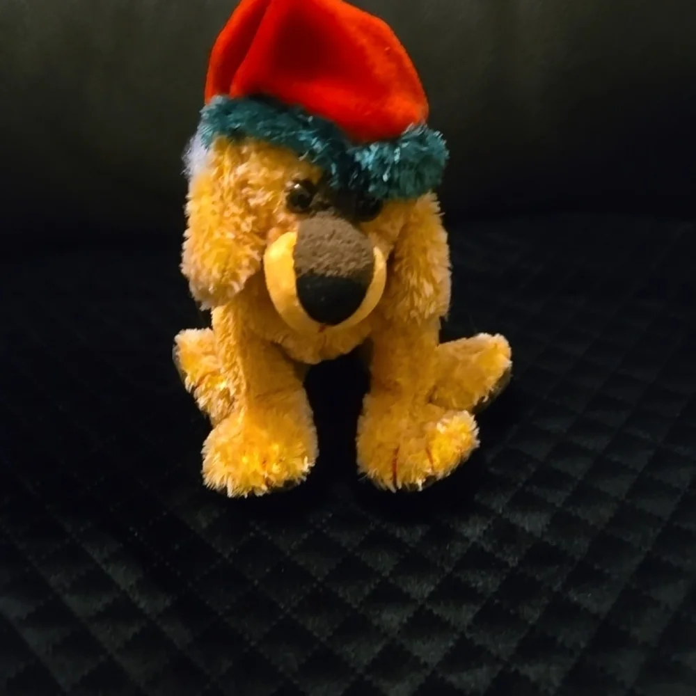 Ty 2000 beanie